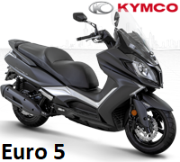 Pièces Scooter DOWNTOWN 125I ABS EURO5 (SK25RE)