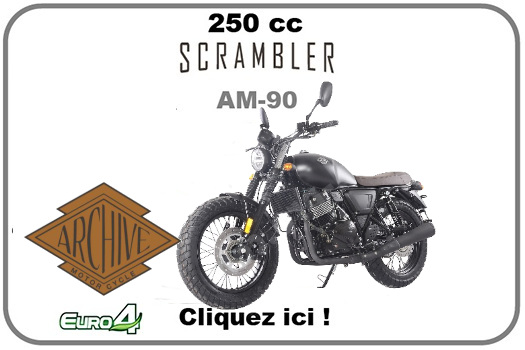 PIECE ARCHIVE SCRAMBLER 250cc AM-90 EURO4