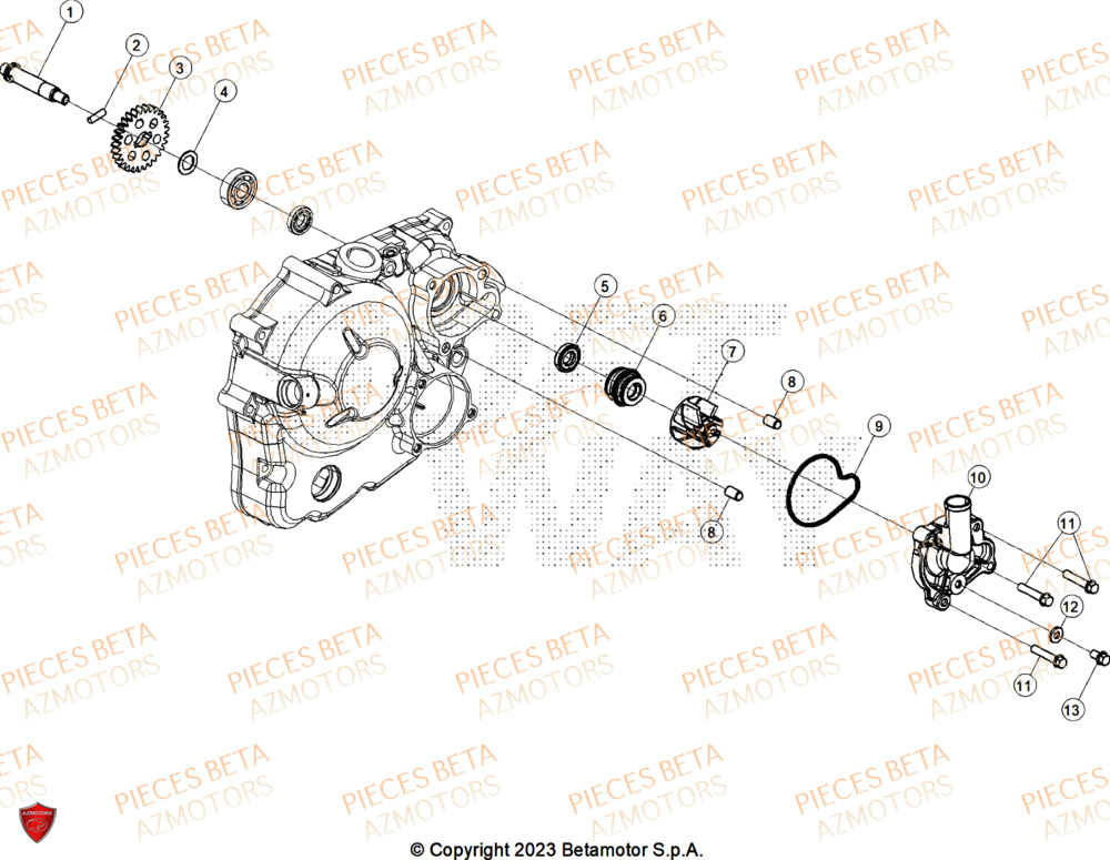 Pompe A Eau BETA Pièces ALP X 350 4T 2025
