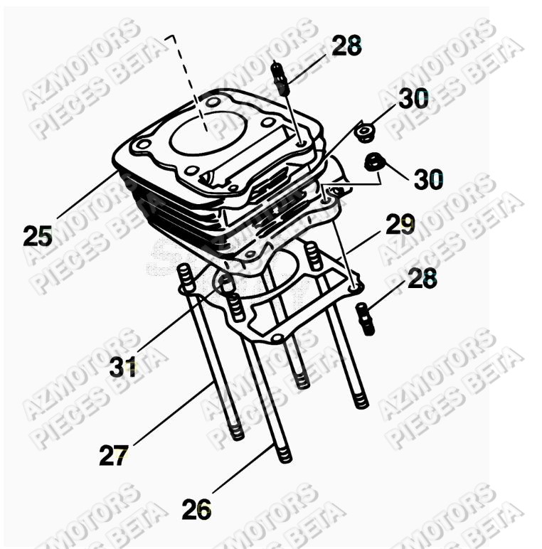 Cylindre BETA Pièces ALP 200 [2016-2017]