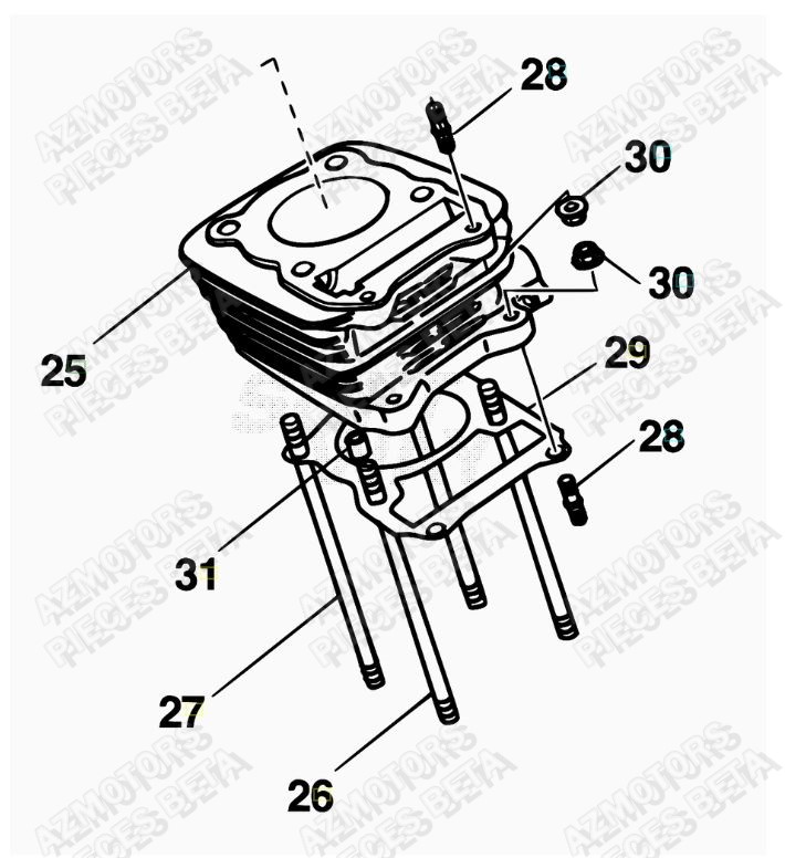 Cylindre BETA Pièces ALP 200 [2018]