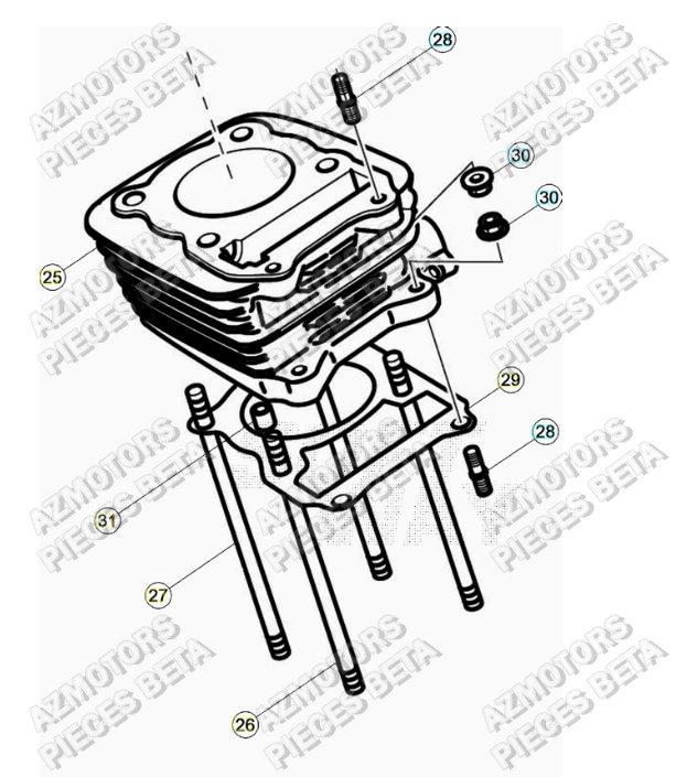 Cylindre BETA Pièces ALP 200 [2021]