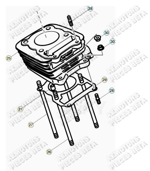Cylindre BETA Pièces ALP 200 [2022]