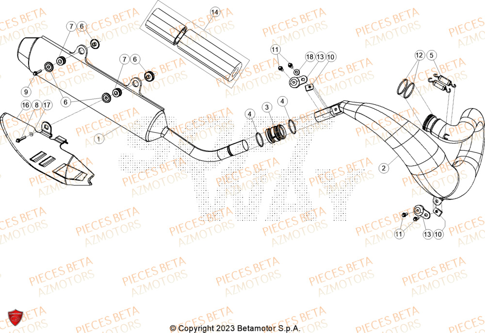 Echappement BETA Pieces BETA CROSS RX 300 2T - (2024)