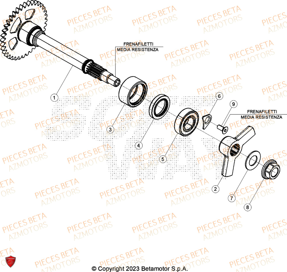 Arbre D Equilibrage BETA Pieces BETA CROSS RX 450 4T - (2024)