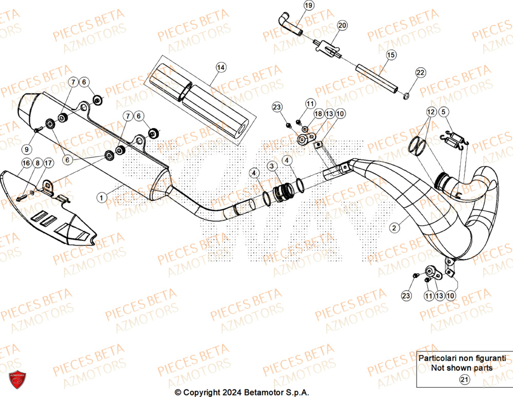 Echappement BETA Pieces BETA ENDURO RR 300 2T X-PRO - (2025)