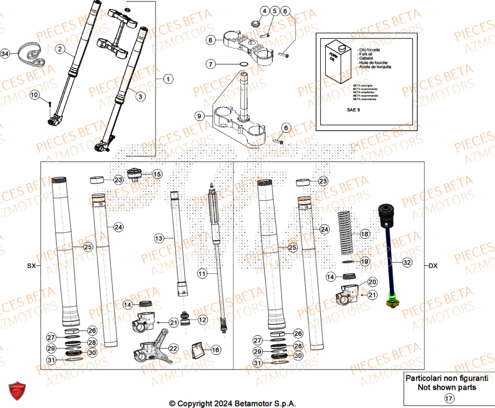 Fourche BETA Pieces BETA ENDURO RR 300 2T X-PRO - (2025)