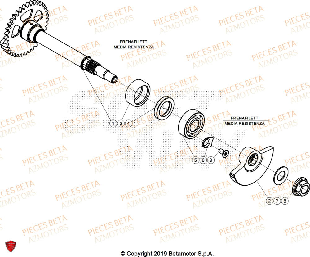 Arbre Equilibrage BETA Pieces BETA ENDURO RR 350 4T RACE/EURO 5+ - (2025)
