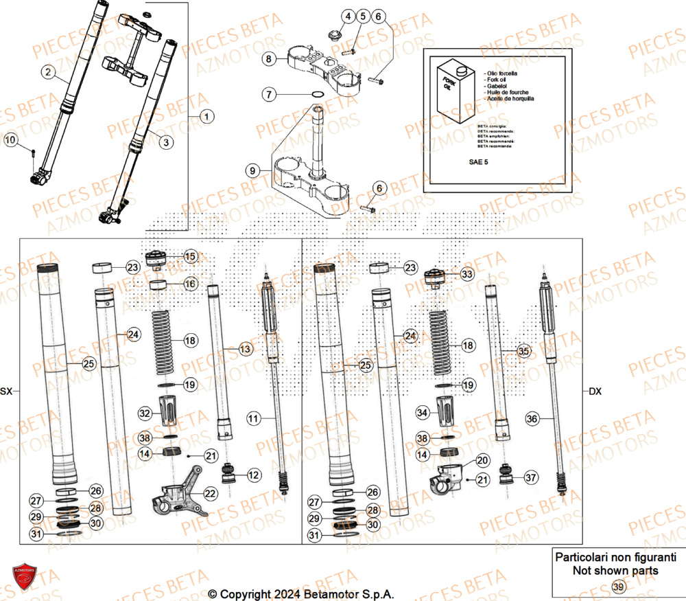 Fourche BETA Pieces BETA ENDURO RR 300 2T - (2024)