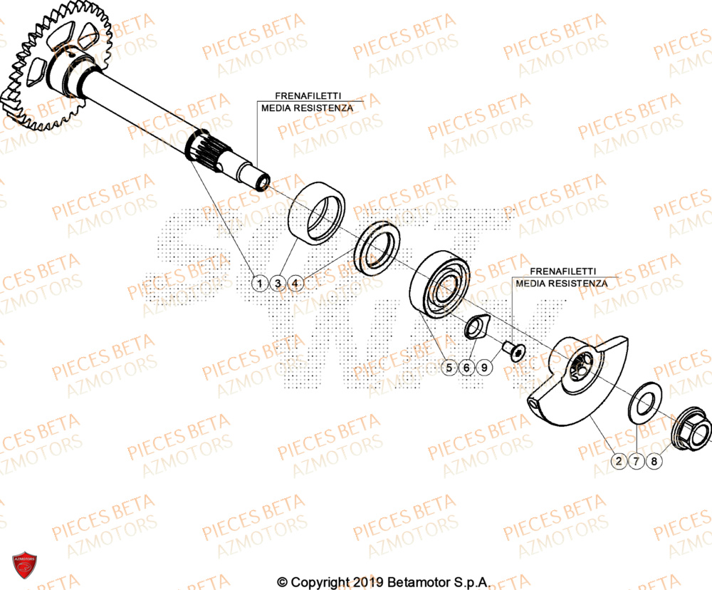 Vilbrequin Piston Contre Arbre BETA Pieces BETA ENDURO RR 350 4T - (2024)
