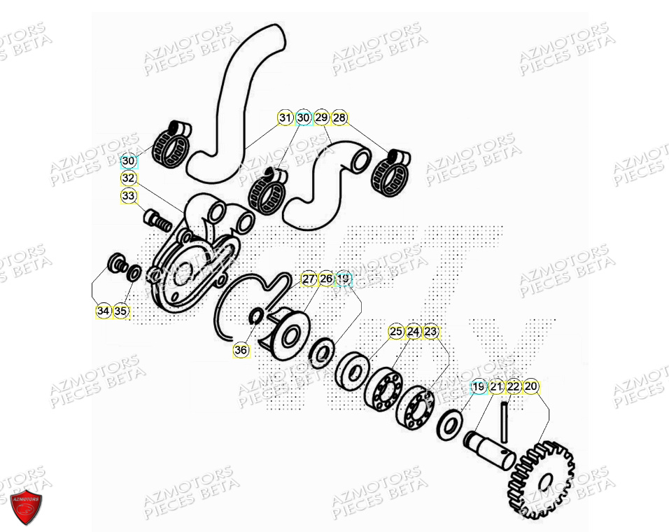 Pompe A Eau BETA Pièces Beta TRIAL EVO 125 2T 2024