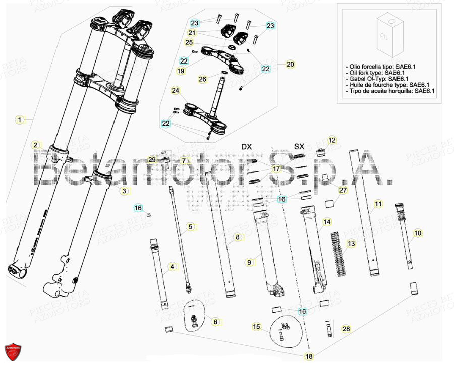 Fourche BETA Pièces BETA EVO 2T -125CC- FACTORY - (2018)