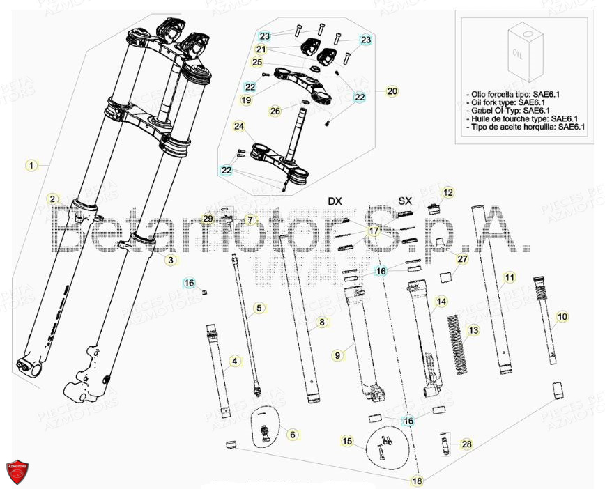 Fourche BETA Pièces BETA EVO 2T -125CC- FACTORY - (2019)