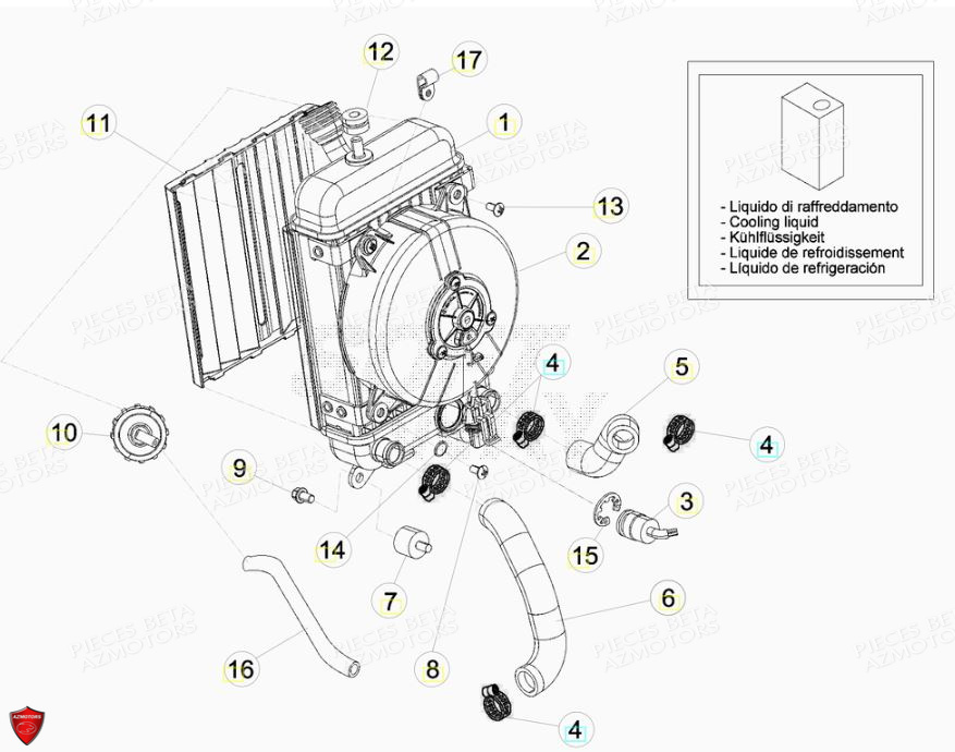 Radiateur BETA Pièces BETA EVO 2T -125CC- FACTORY - (2019)