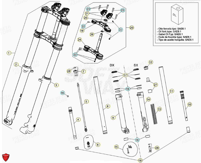 FOURCHE BETA EVO 125 2T FACTORY 2021