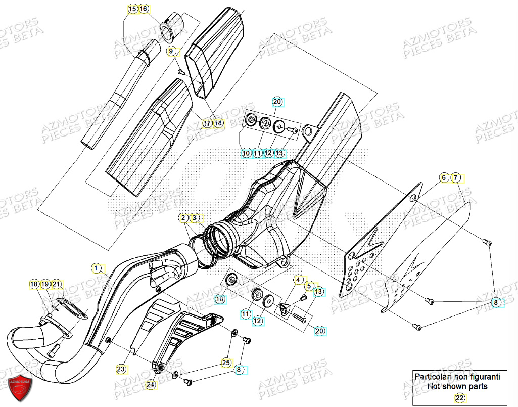 ECHAPPEMENT BETA EVO 125 2T FACTORY 2024