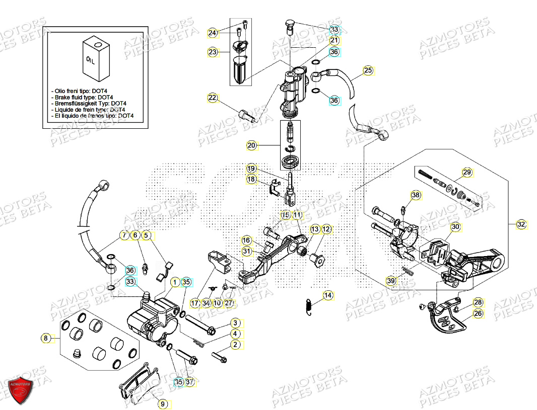 Freins BETA Pièces Beta TRIAL EVO 125 FACTORY 2T 2024