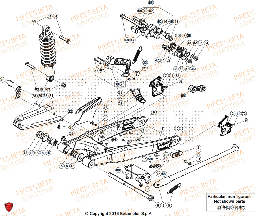 Bras Oscillant BETA Pièces Beta TRIAL EVO 250 FACTORY 2T 2024