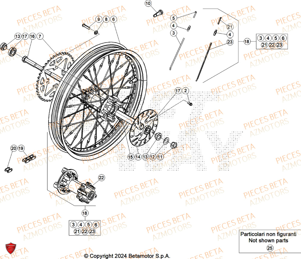 Roue Arriere BETA Pièces Beta TRIAL EVO 250 FACTORY 2T 2024