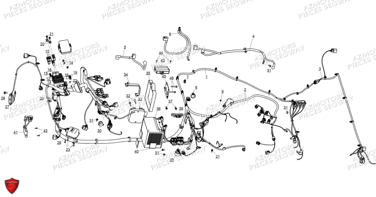 Systeme Electrique SEGWAY Pièces SSV FUGLEMAN UT10