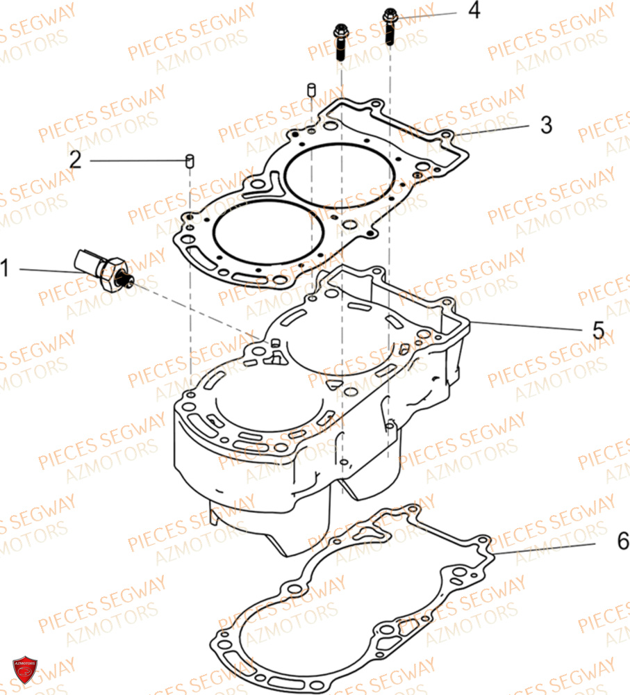 Sous Ensemble Cylindre SEGWAY Pièces SSV FUGLEMAN UT10 2024