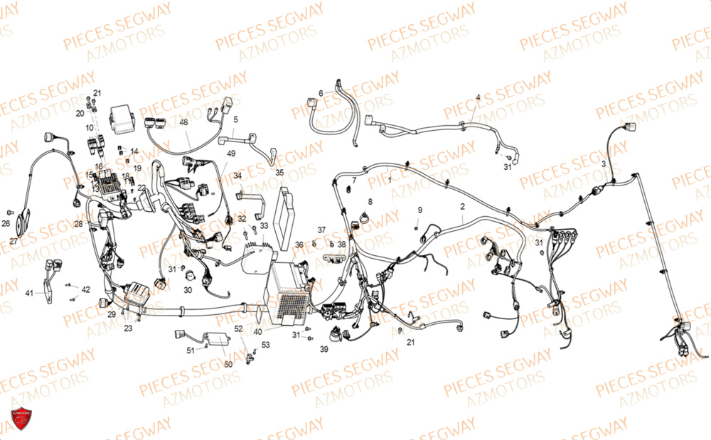 Systeme Electrique SEGWAY Pièces SSV FUGLEMAN UT10 2024