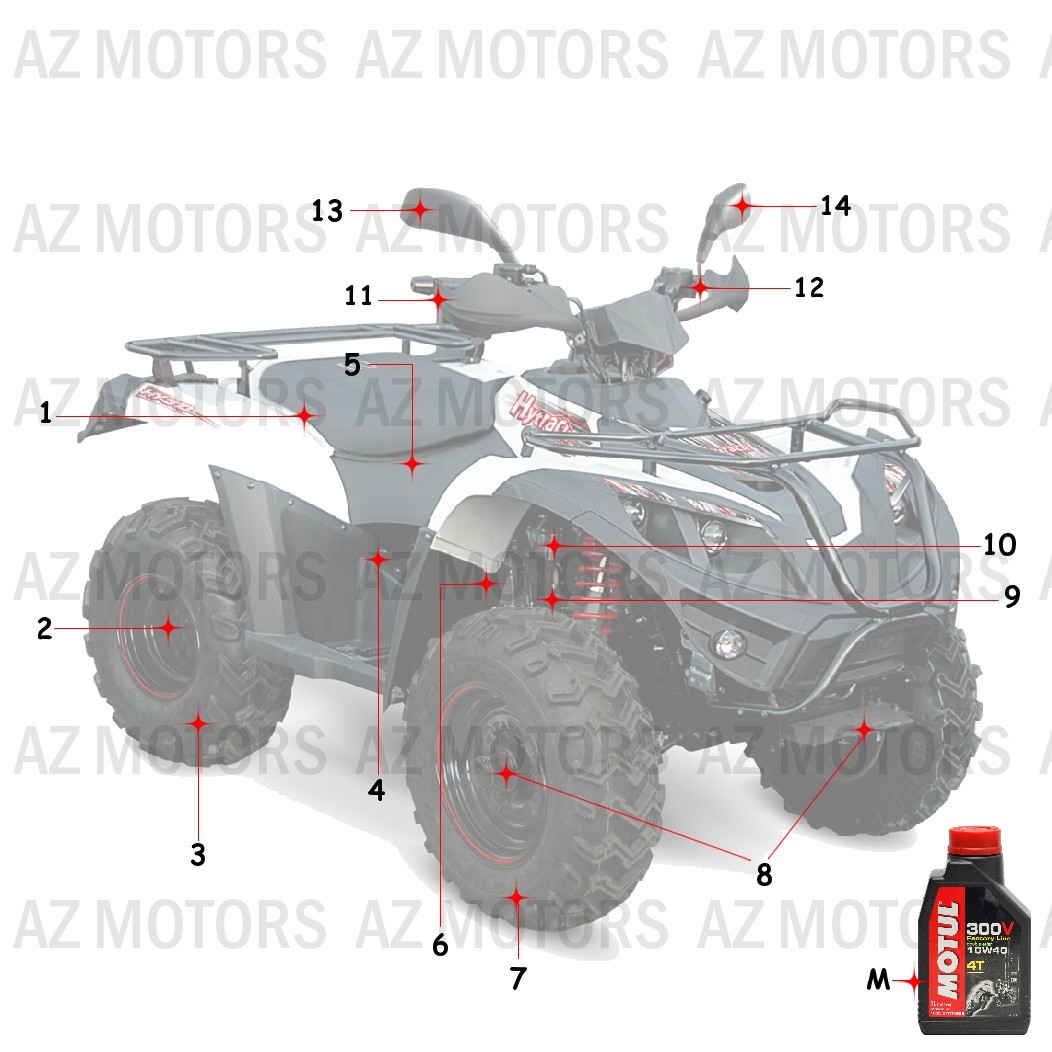 1CONSOMMABLES AZMOTORS HY310