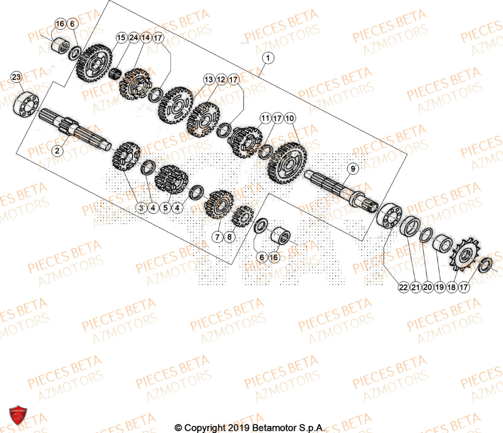 Transmission BETA Pièces BETA REV 80 - (2024)