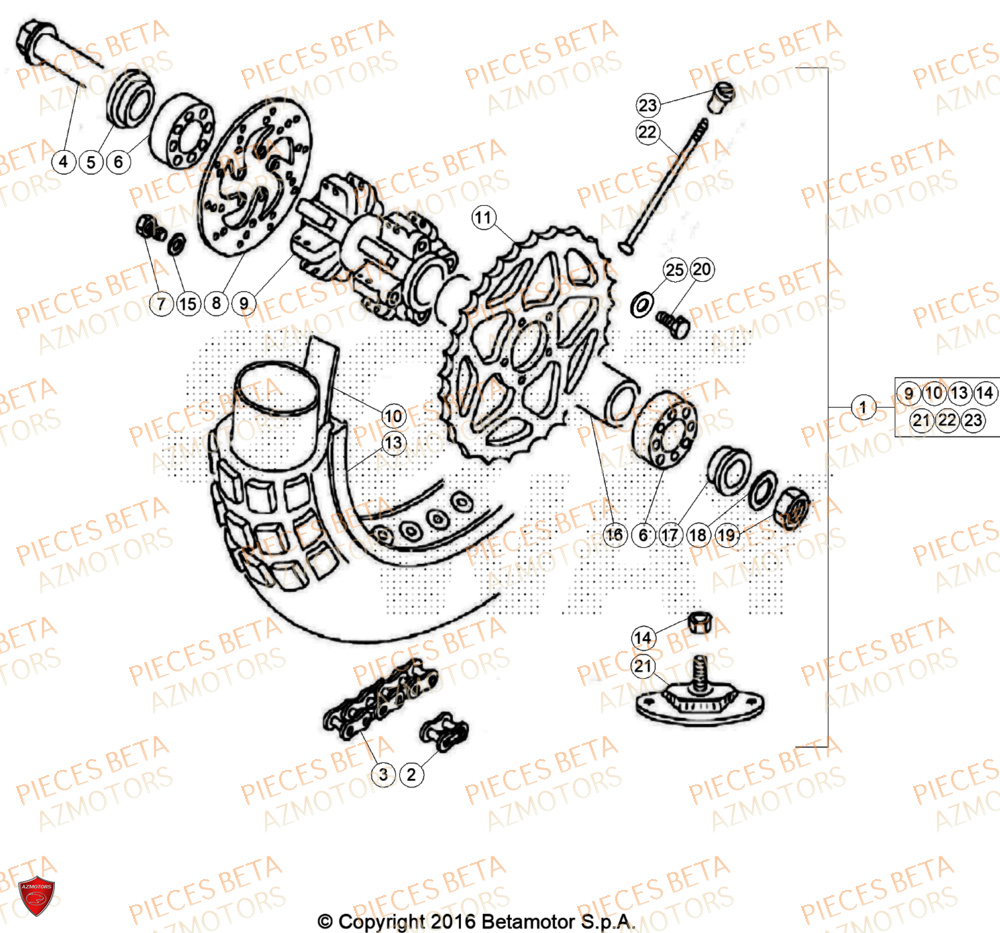 Roue Arriere BETA Pièces BETA REV 80 JUNIOR - (2024)