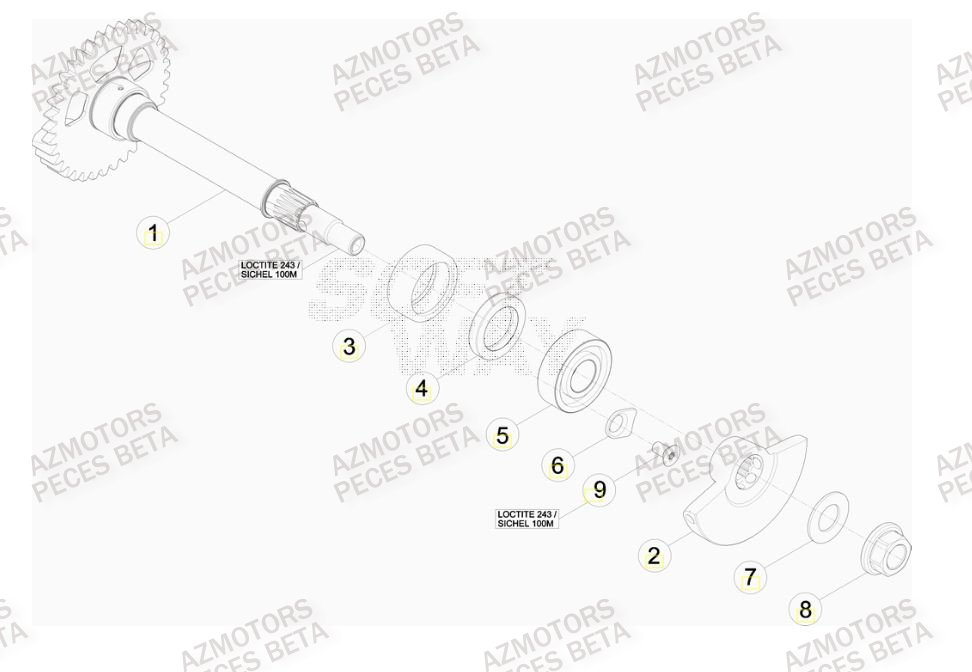 Arbre Equilibrage BETA Pièces Beta RR 4T 480 Enduro - 2015