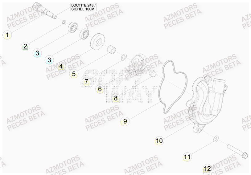 Pompe A Eau BETA Pièces BETA RR 450CC FACTORY 4T - [2011]