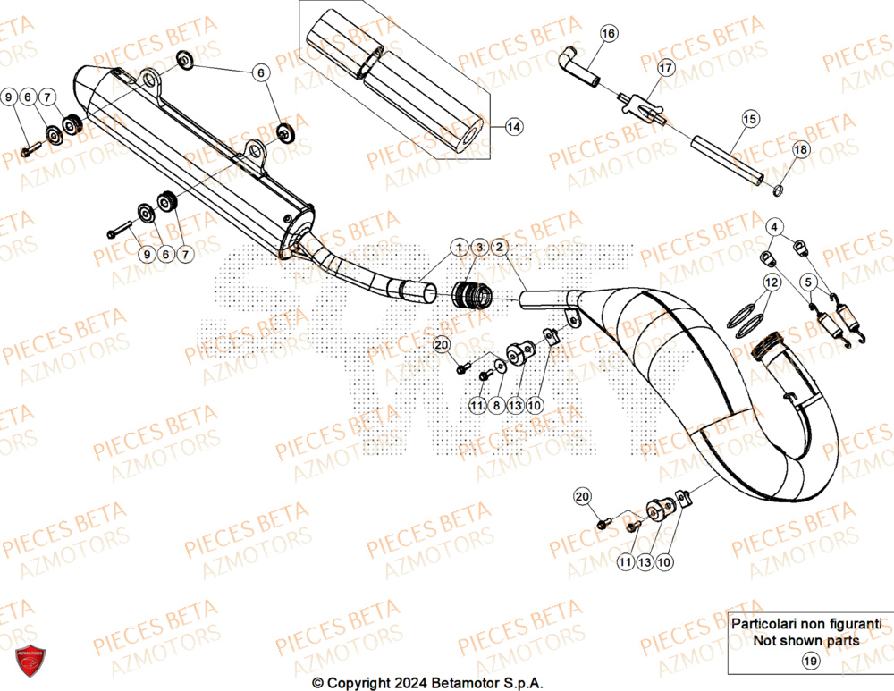 Echappement BETA Pièces Beta RR 125 2T X-PRO - 2025