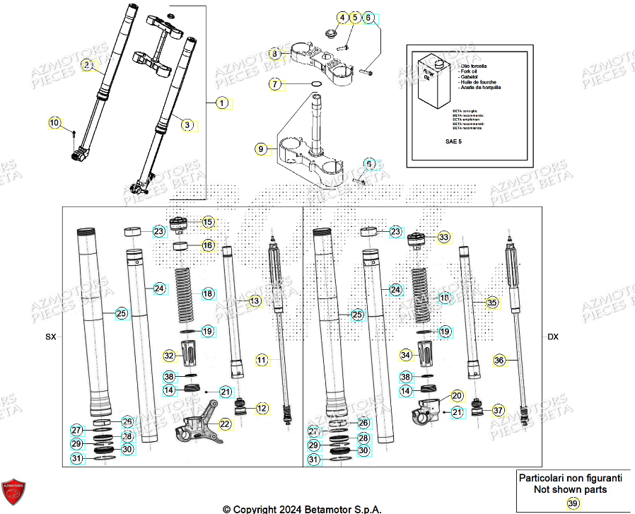 Fourche BETA Pieces BETA RR 2T 250 - (2024)