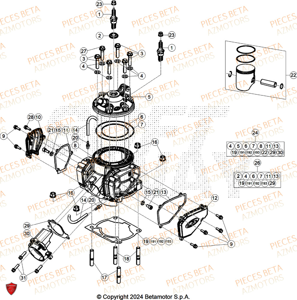 Cylindre BETA Pieces BETA RR RACE 2T 250 - (2025)