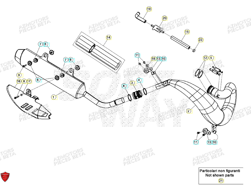 Echappement BETA Pieces BETA RR RACING 2T 250 - (2024)