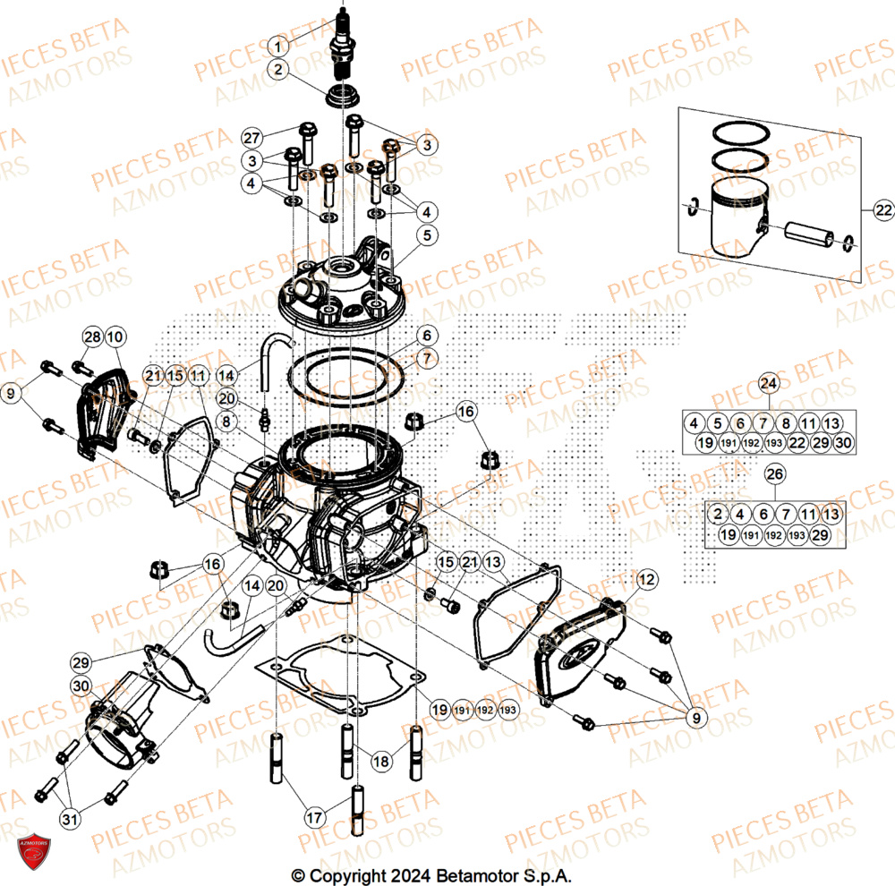 Cylindre BETA Pieces BETA RR 2T 250 X-PRO - (2025)