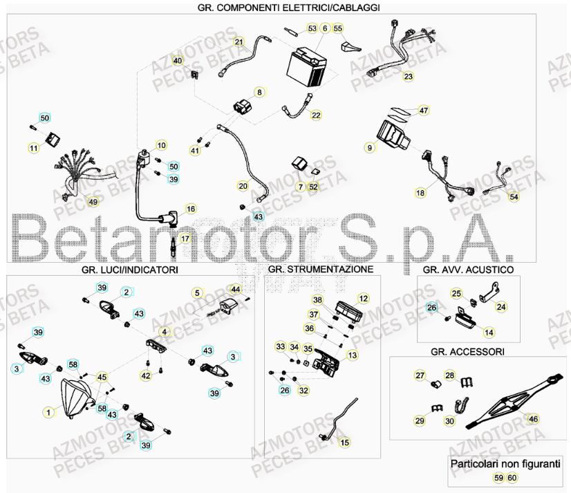 Equipement Electrique BETA Pieces BETA RR 2T 300 HOLCOMBE REPLICA - (2019)