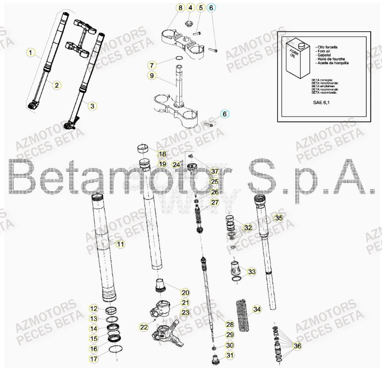 Fourche BETA Pieces BETA RR 2T 300 HOLCOMBE REPLICA - (2019)