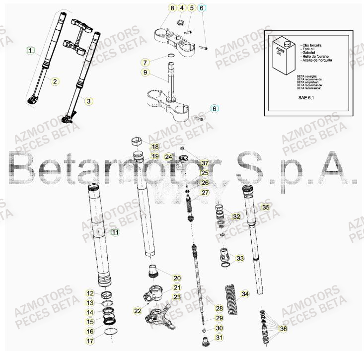 Fourche BETA Pieces BETA RR 2T 300 RACING - (2017)
