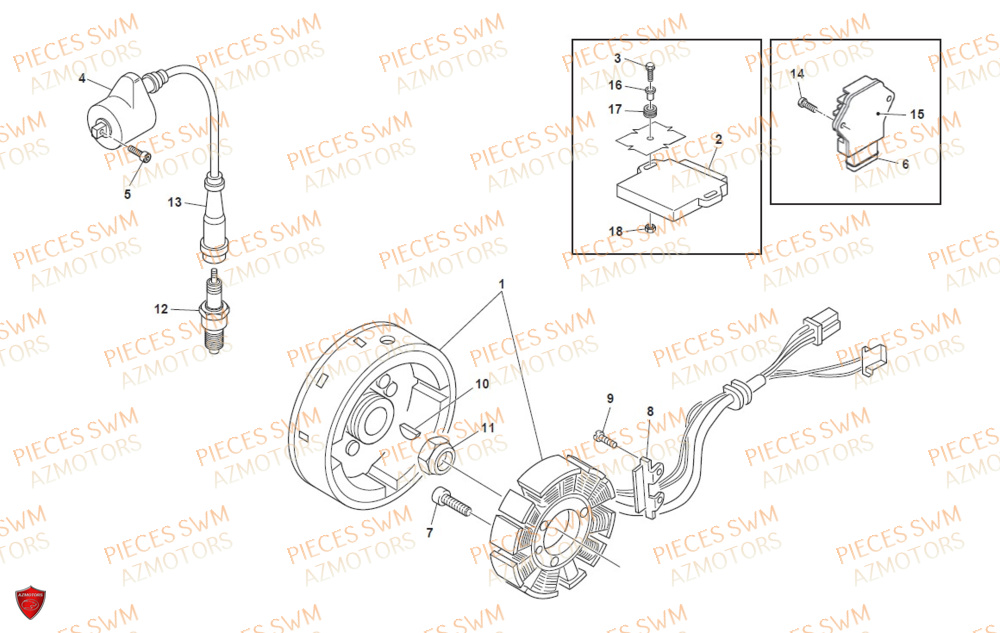 Allumage SWM Pieces SWM Origine RS 300R ENDURO (2020)