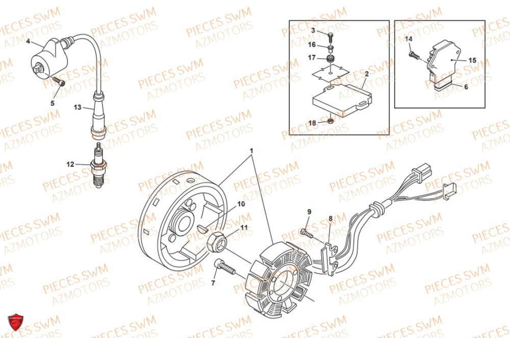 Allumage SWM Pieces SWM Origine RS 300R ENDURO (2019)