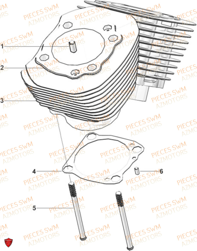 Cylindre  Pieces SWM Origine STORMBREAKER V 1200 2024