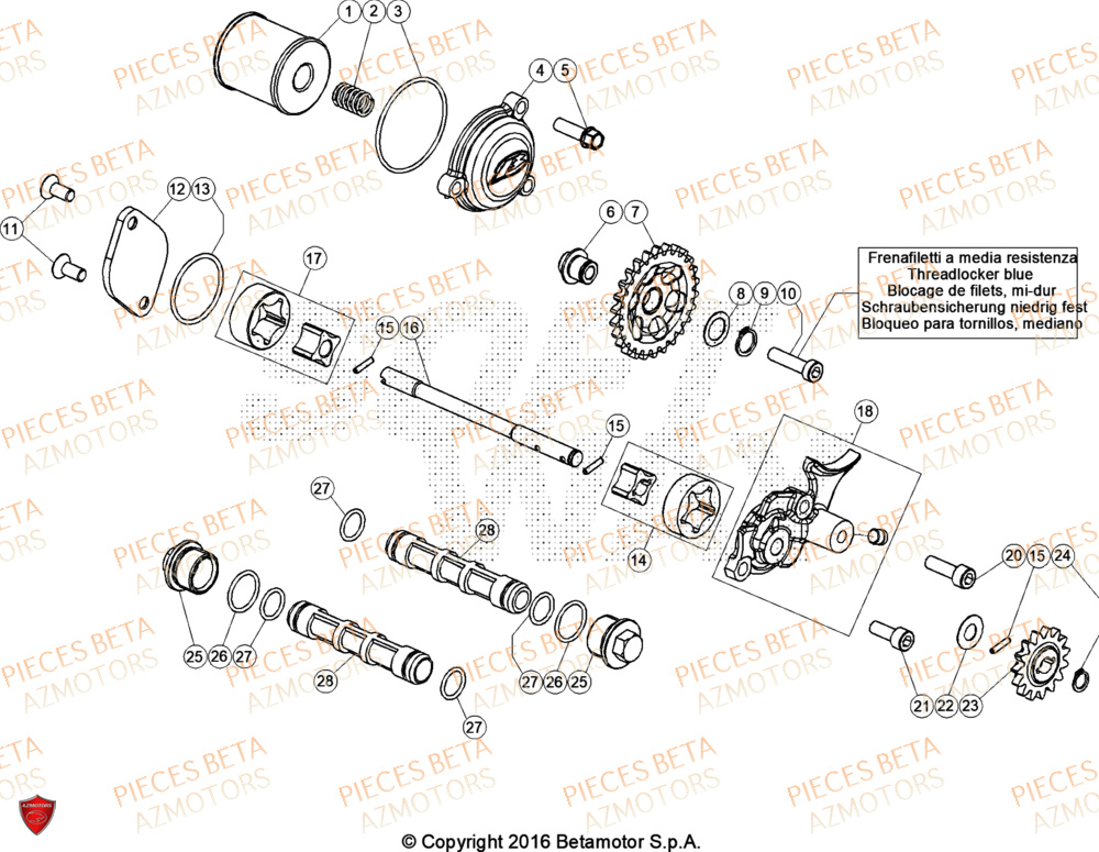 Circuit De Lubrification BETA Pieces BETA TRIAL EVO 300 4T - (2024)