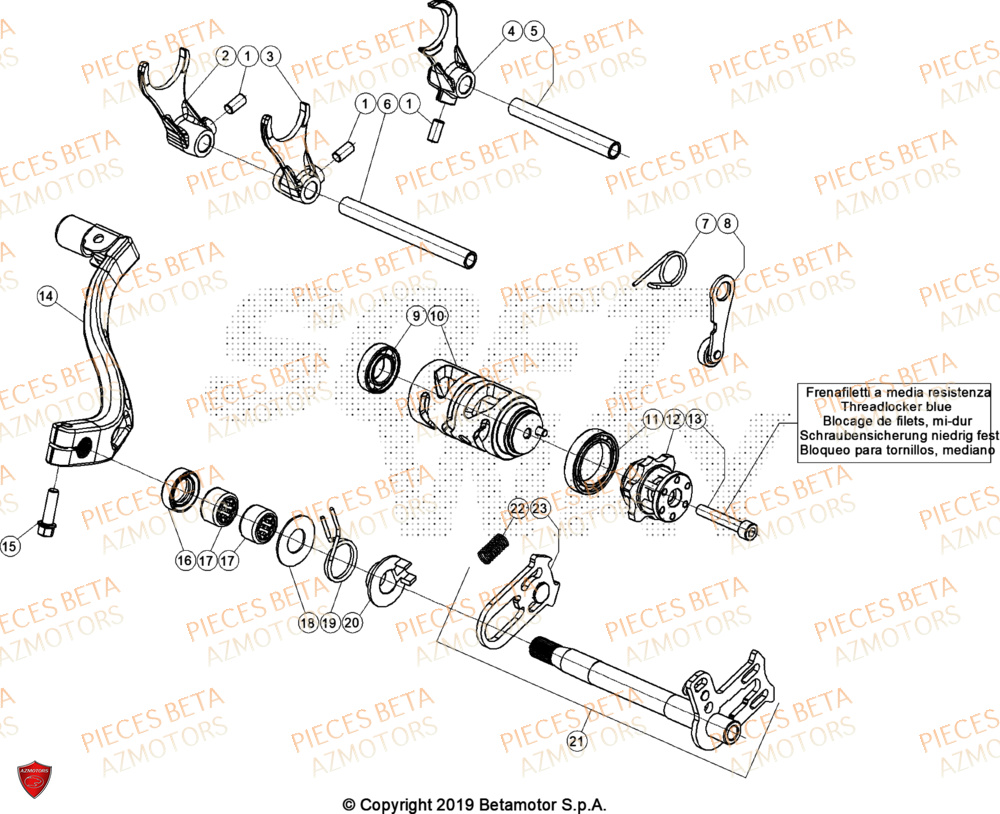 Commande Boite A Vitesses BETA Pieces BETA TRIAL EVO 300 4T - (2024)