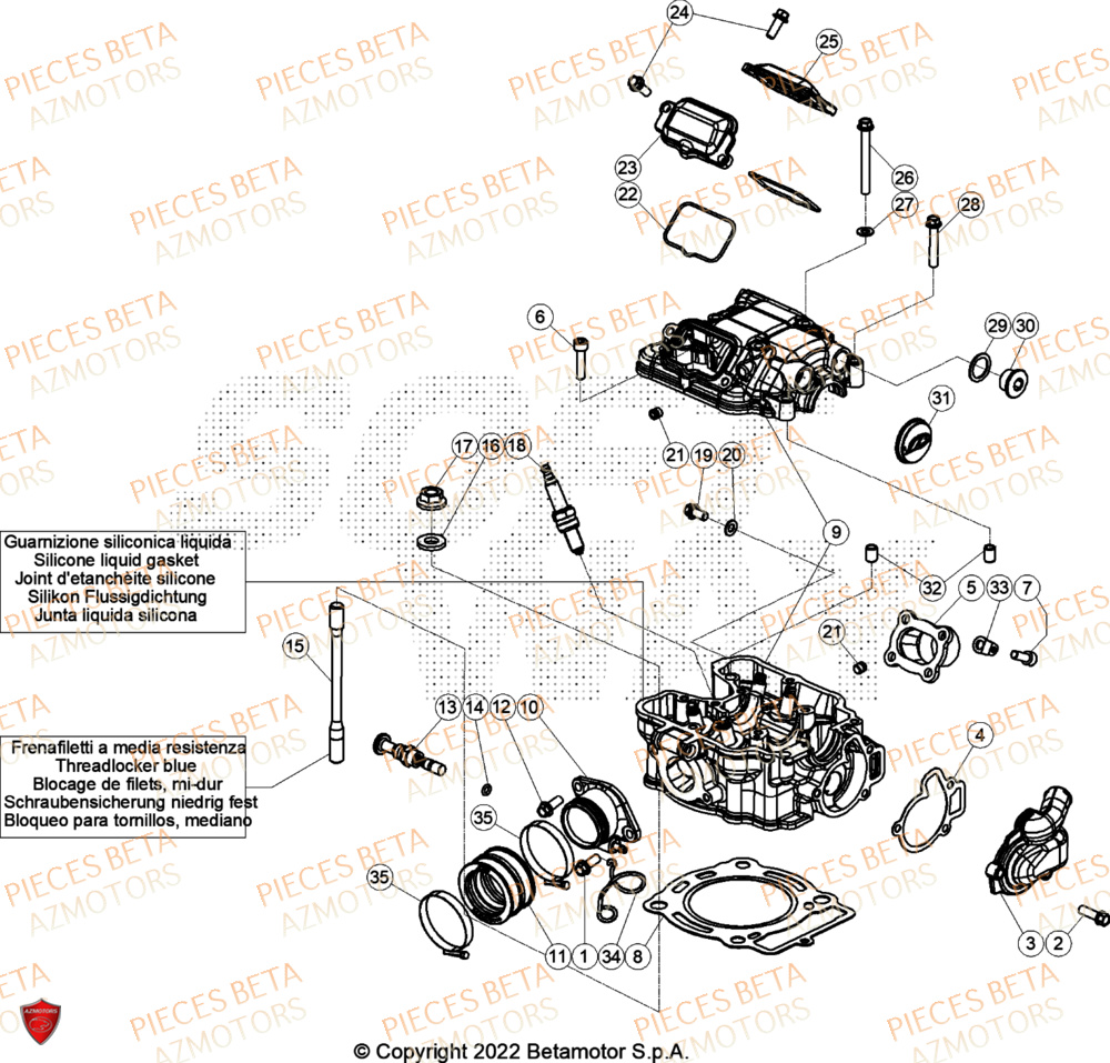 Cylindre Culasse Distribution BETA Pieces BETA TRIAL EVO 300 4T - (2024)