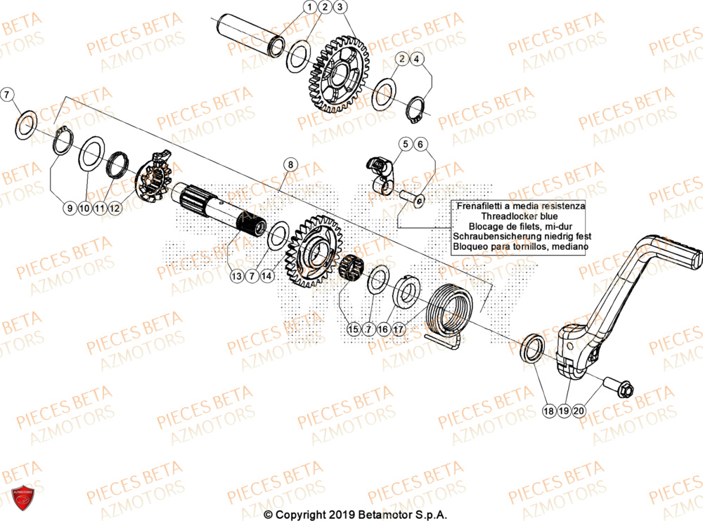 Demarrage BETA Pieces BETA TRIAL EVO 300 4T - (2024)