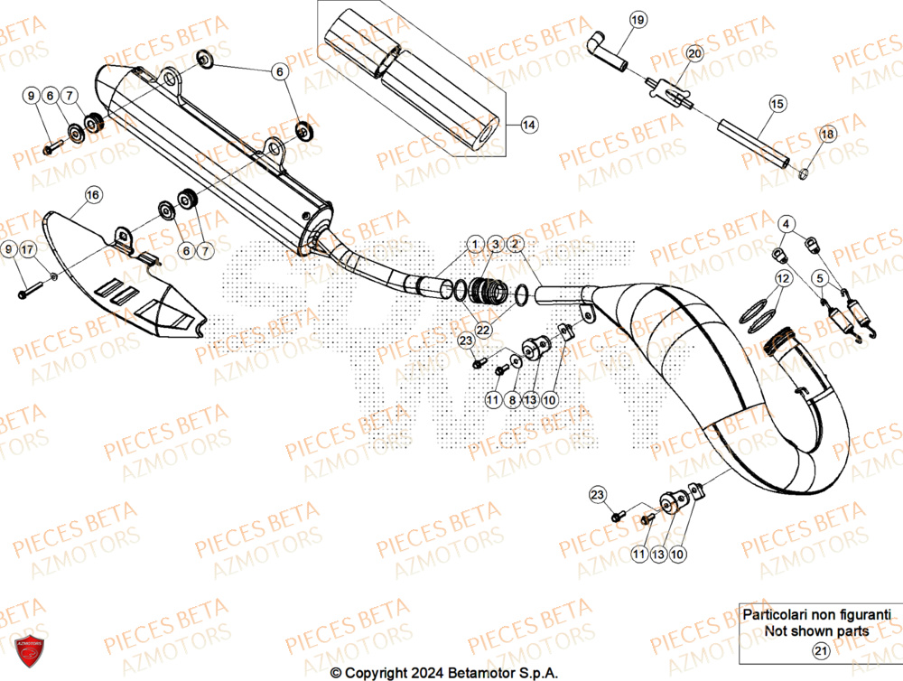 Echappement BETA Pieces Beta RR 200 X-PRO 2T - 2025