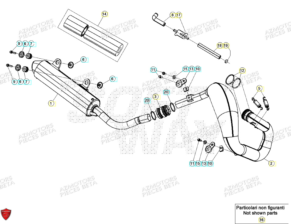 Echappement BETA Pieces BETA ENDURO XTRAINER 250 2T - (2024)