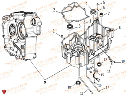 Carter Gauche LONCIN QUAD LONCIN XWOLF 300 Euro5