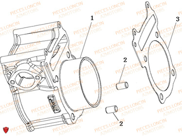 Cylindre LONCIN QUAD LONCIN XWOLF 300 Euro5